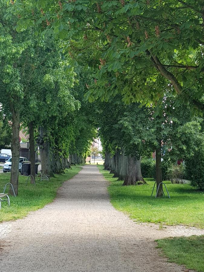 Ferienwohnung In Ostseenaehe Ґревесмюлен Екстер'єр фото